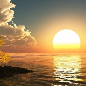 Meet your Posher, Aliah